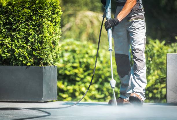 Best Warehouse Cleaning  in Wayne, MI