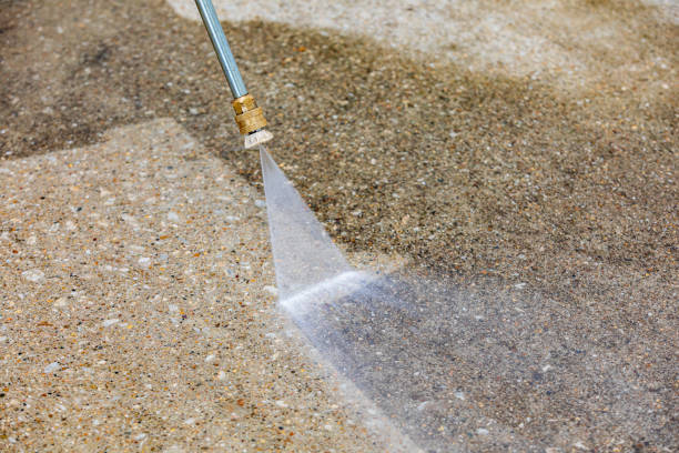 Best Winterizing Services  in Wayne, MI