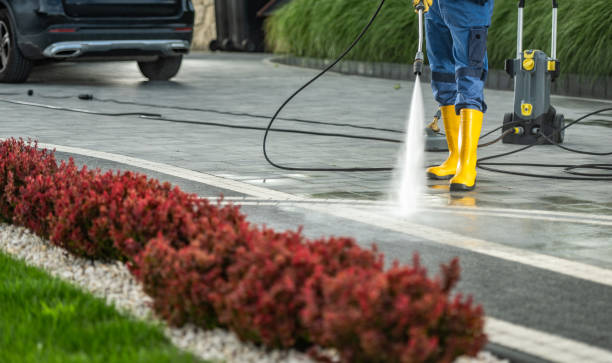 Best Restaurant Pressure Washing  in Wayne, MI